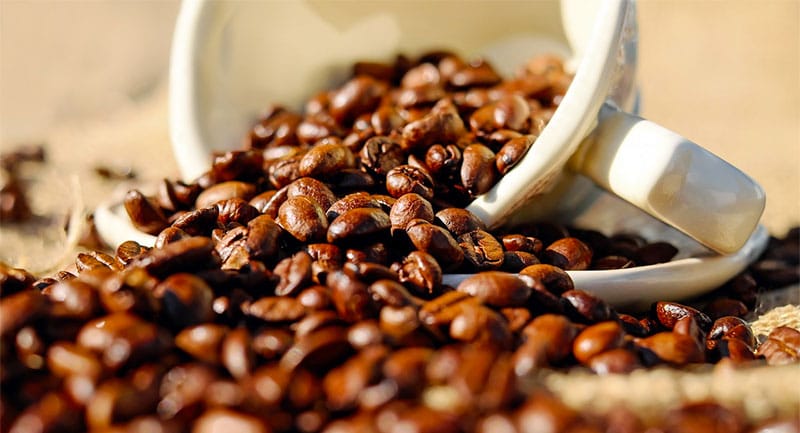 coffee beans in cup