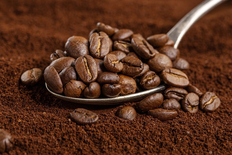 coffee beans in spoon